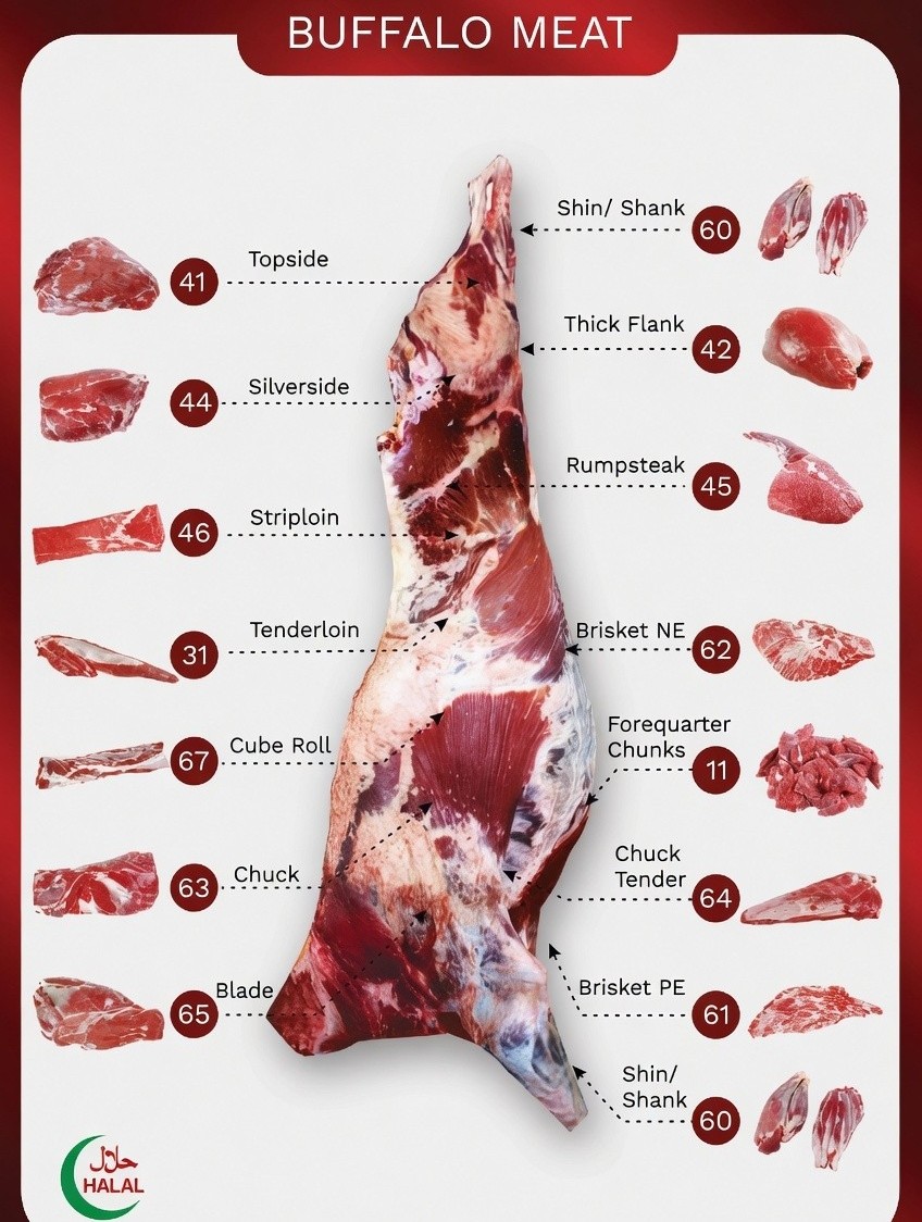Buffalo Meat Cut Chart with Halal Certification